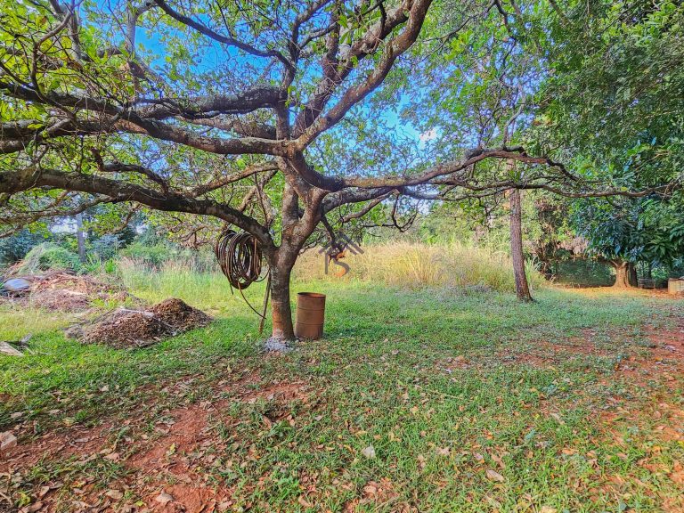 Chácara à venda com 5 quartos no Setor Ponta Kayana em Trindade — foto 43